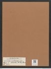 Navicula radiosa var. acuta (W.Sm.) Grun. (de-Toni-Nr.: Genus 1, Species 104) Zeichnungen Sammlung Grunow Mappe 00079 (Herbarium_W_Grunow_drawings_Folder_00079)